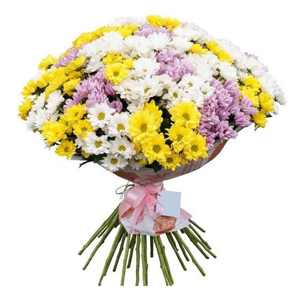 35 Chrysanthemum Bouquet