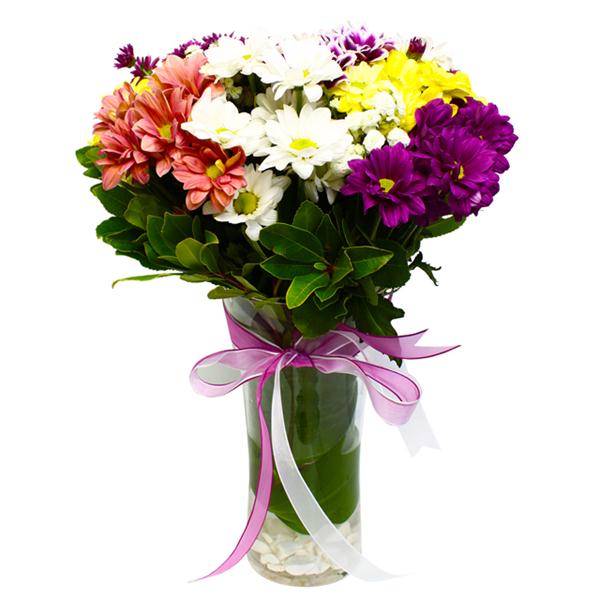 Gemischtfarben Chrysanthemen