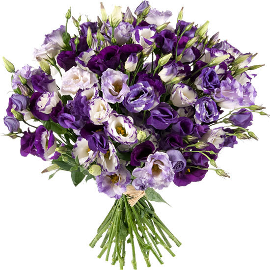 Lila Lisianthus Strauß